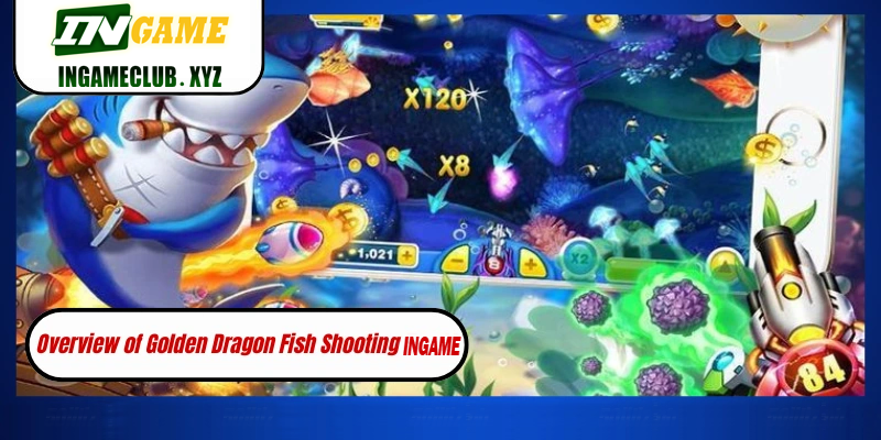 Golden Dragon Fish Shooting page with account and rule information