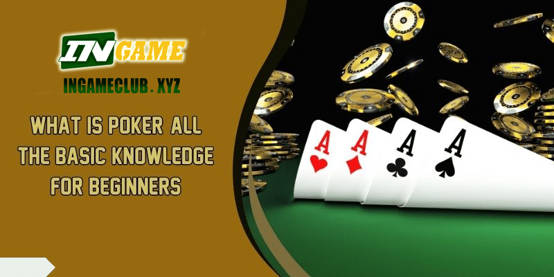 What is Poker All the Basic Knowledge for Beginners